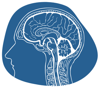 Ilustración Cerebro